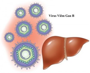 Một số con đường lan truyền của viêm gan B